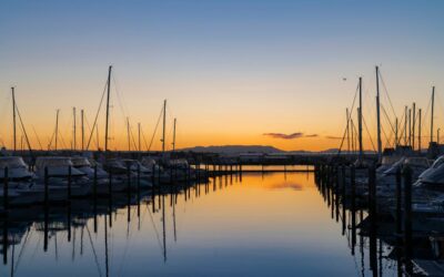The Fall Boat Maintenance Every Marina Manager Should Offer To Increase Slow-Season Revenue